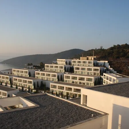 Horizon Sky Lemon 6 Kıyıkıslacık